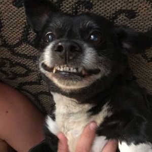 Meet your Posher, Drew